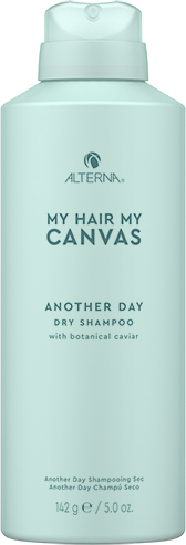ALTERNA MY HAIR MY CANVAS Another Day Dry Shampoo