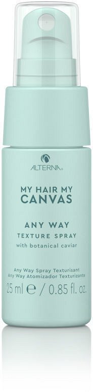 ALTERNA MY HAIR MY CANVAS Any way Texture Spray TRAVEL