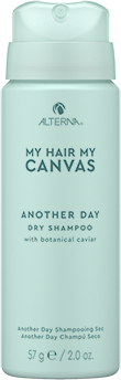 ALTERNA MY HAIR MY CANVAS Another Day Dry Shampoo TRAVEL